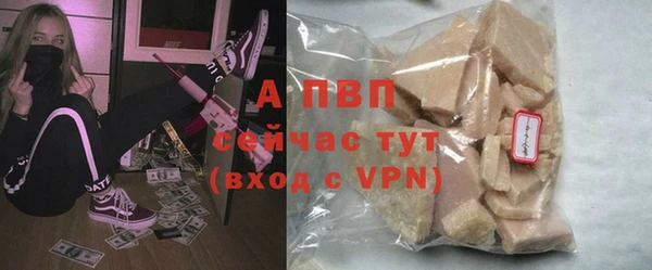 амф Верея