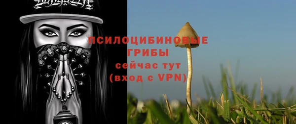 PSILOCYBIN Верхнеуральск